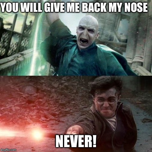 Harry Potter meme | YOU WILL GIVE ME BACK MY NOSE; NEVER! | image tagged in harry potter meme | made w/ Imgflip meme maker