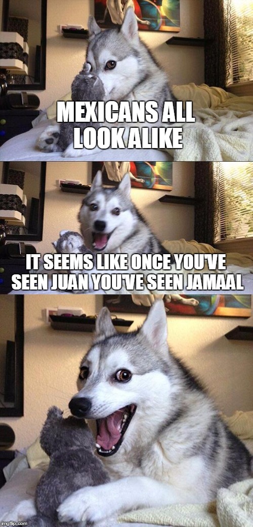 Bad Pun Dog | MEXICANS ALL LOOK ALIKE; IT SEEMS LIKE ONCE YOU'VE SEEN JUAN YOU'VE SEEN JAMAAL | image tagged in memes,bad pun dog | made w/ Imgflip meme maker