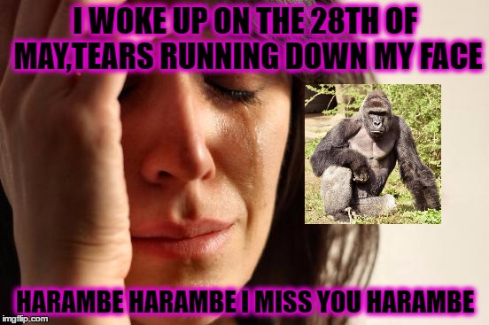 First World Problems | I WOKE UP ON THE 28TH OF MAY,TEARS RUNNING DOWN MY FACE; HARAMBE HARAMBE I MISS YOU HARAMBE | image tagged in memes,first world problems | made w/ Imgflip meme maker