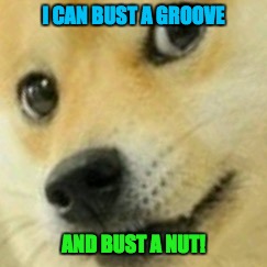 Skeptical Doge | I CAN BUST A GROOVE AND BUST A NUT! | image tagged in skeptical doge | made w/ Imgflip meme maker
