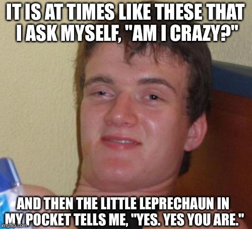 Am I crazy? |  IT IS AT TIMES LIKE THESE THAT I ASK MYSELF, "AM I CRAZY?"; AND THEN THE LITTLE LEPRECHAUN IN MY POCKET TELLS ME, "YES. YES YOU ARE." | image tagged in memes,10 guy,crazy | made w/ Imgflip meme maker