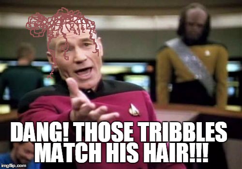 Picard Wtf Meme | DANG! THOSE TRIBBLES MATCH HIS HAIR!!! | image tagged in memes,picard wtf | made w/ Imgflip meme maker
