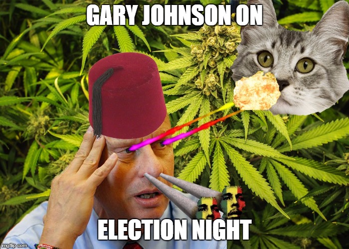 GARY JOHNSON ON; ELECTION NIGHT | image tagged in stoned | made w/ Imgflip meme maker