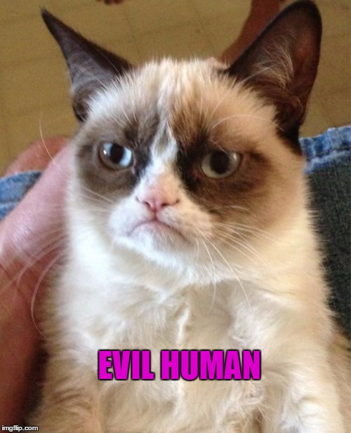 Grumpy Cat Meme | EVIL HUMAN | image tagged in memes,grumpy cat | made w/ Imgflip meme maker