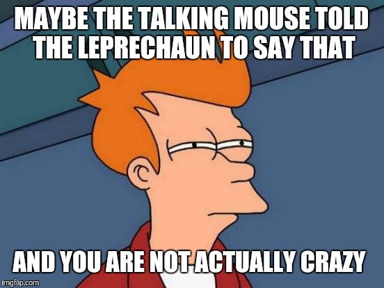 Futurama Fry Meme | MAYBE THE TALKING MOUSE TOLD THE LEPRECHAUN TO SAY THAT AND YOU ARE NOT ACTUALLY CRAZY | image tagged in memes,futurama fry | made w/ Imgflip meme maker