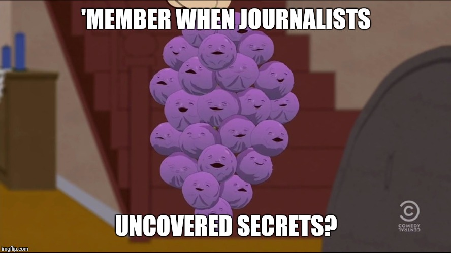 Member Berries Meme | 'MEMBER WHEN JOURNALISTS UNCOVERED SECRETS? | image tagged in memes,member berries | made w/ Imgflip meme maker