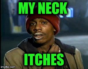 Y'all Got Any More Of That Meme | MY NECK; ITCHES | image tagged in memes,yall got any more of | made w/ Imgflip meme maker