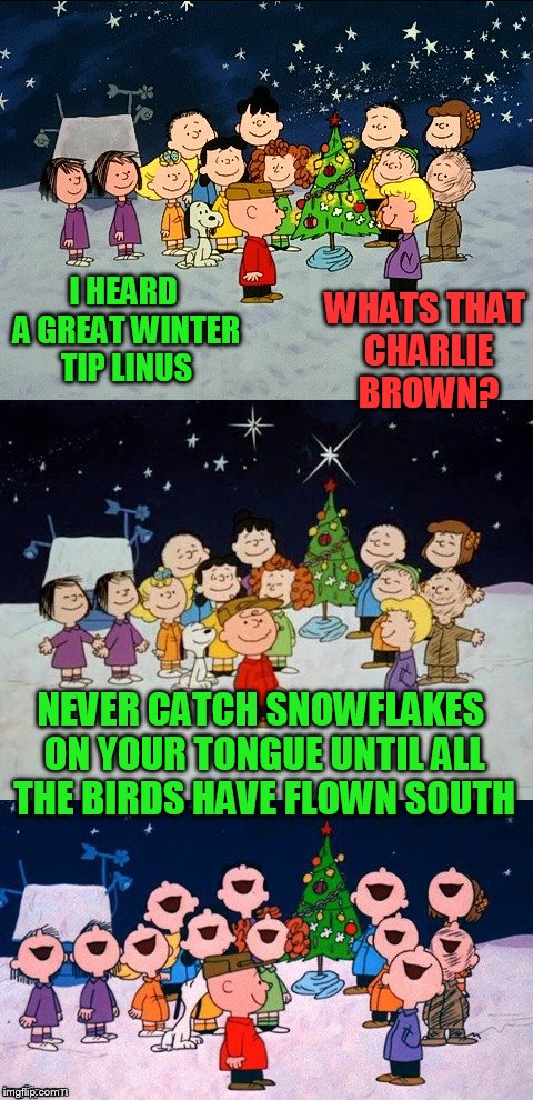 A Charlie Brown Christmas Pun  | WHATS THAT CHARLIE BROWN? I HEARD A GREAT WINTER TIP LINUS; NEVER CATCH SNOWFLAKES ON YOUR TONGUE UNTIL ALL THE BIRDS HAVE FLOWN SOUTH | image tagged in a charlie brown christmas pun | made w/ Imgflip meme maker