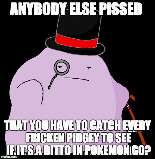 ANYBODY ELSE PISSED; THAT YOU HAVE TO CATCH EVERY FRICKEN PIDGEY TO SEE IF IT'S A DITTO IN POKEMON GO? | image tagged in pokemon | made w/ Imgflip meme maker