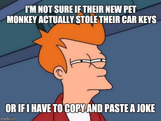 Futurama Fry | I'M NOT SURE IF THEIR NEW PET MONKEY ACTUALLY STOLE THEIR CAR KEYS; OR IF I HAVE TO COPY AND PASTE A JOKE | image tagged in memes,futurama fry | made w/ Imgflip meme maker