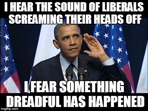 Obama No Listen Meme | I HEAR THE SOUND OF LIBERALS SCREAMING THEIR HEADS OFF; I FEAR SOMETHING DREADFUL HAS HAPPENED | image tagged in memes,obama no listen | made w/ Imgflip meme maker
