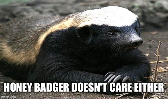HONEY BADGER DOESN'T CARE EITHER | made w/ Imgflip meme maker
