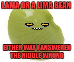 STUPID FACEBOOK!!! | LAMA OR A LIMA BEAN; EITHER WAY I ANSWERED THE RIDDLE WRONG | image tagged in memes,lol | made w/ Imgflip meme maker