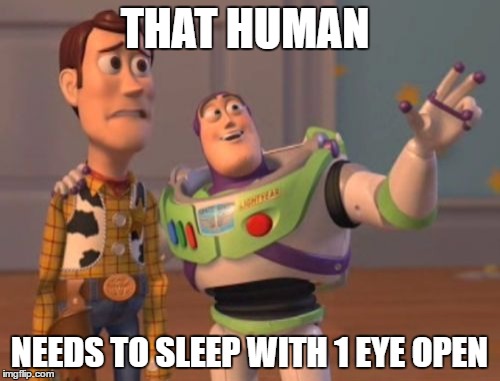 X, X Everywhere Meme | THAT HUMAN NEEDS TO SLEEP WITH 1 EYE OPEN | image tagged in memes,x x everywhere | made w/ Imgflip meme maker