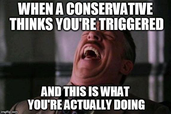 JJ Jameson | WHEN A CONSERVATIVE THINKS YOU'RE TRIGGERED; AND THIS IS WHAT YOU'RE ACTUALLY DOING | image tagged in jj jameson | made w/ Imgflip meme maker