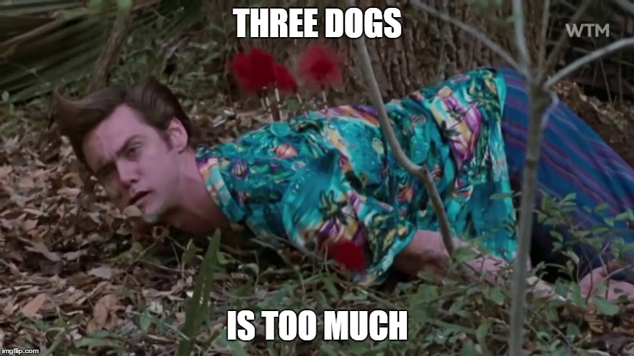 THREE DOGS; IS TOO MUCH | made w/ Imgflip meme maker