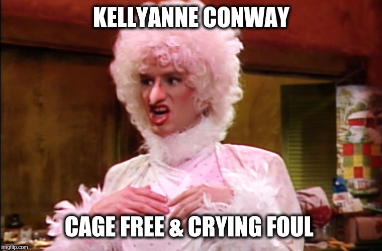 KELLYANNE CONWAY; CAGE FREE & CRYING FOUL | image tagged in kellyanneconwaycagefree | made w/ Imgflip meme maker