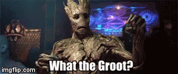 What the Groot? | image tagged in gifs,confused | made w/ Imgflip video-to-gif maker