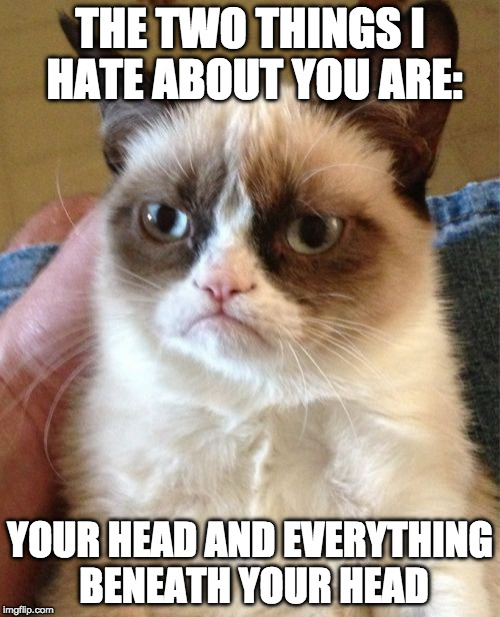At least there's not ten things. | THE TWO THINGS I HATE ABOUT YOU ARE:; YOUR HEAD AND EVERYTHING BENEATH YOUR HEAD | image tagged in memes,grumpy cat,hate,bacon | made w/ Imgflip meme maker