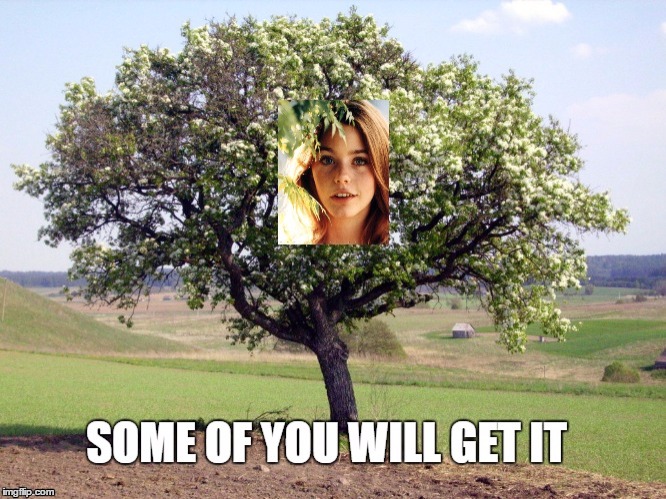 partridge in a pear tree | image tagged in partridge family,pear tree,laurie partridge,susan dey | made w/ Imgflip meme maker
