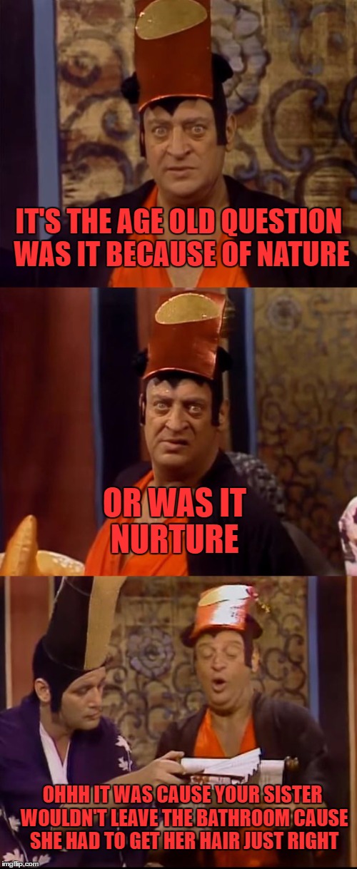 explain it to rodney | IT'S THE AGE OLD QUESTION WAS IT BECAUSE OF NATURE OR WAS IT NURTURE OHHH IT WAS CAUSE YOUR SISTER WOULDN'T LEAVE THE BATHROOM CAUSE SHE HAD | image tagged in explain it to rodney | made w/ Imgflip meme maker