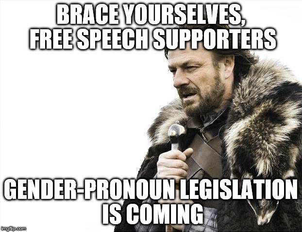 Brace Yourselves X is Coming | BRACE YOURSELVES, FREE SPEECH SUPPORTERS; GENDER-PRONOUN LEGISLATION IS COMING | image tagged in memes,brace yourselves x is coming | made w/ Imgflip meme maker