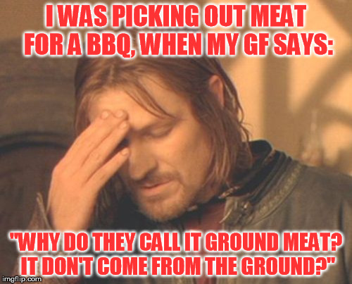 This is a true story. Obviously, she is now an ex..... | I WAS PICKING OUT MEAT FOR A BBQ, WHEN MY GF SAYS:; "WHY DO THEY CALL IT GROUND MEAT? IT DON'T COME FROM THE GROUND?" | image tagged in memes,frustrated boromir | made w/ Imgflip meme maker