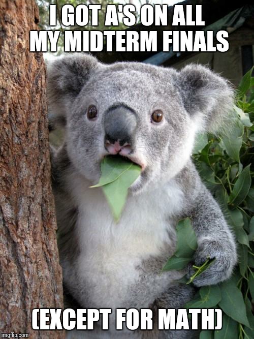 I got A's on all my midterm finals! (Except for math.) YAY!  | I GOT A'S ON ALL MY MIDTERM FINALS; (EXCEPT FOR MATH) | image tagged in memes,surprised koala | made w/ Imgflip meme maker