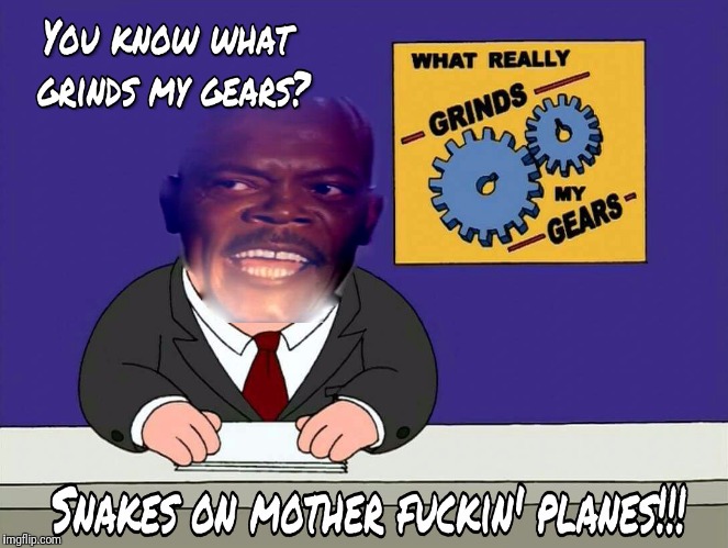 Snakes on a plane really grind my gears  | image tagged in samuel l jackson,snakes on a plane | made w/ Imgflip meme maker
