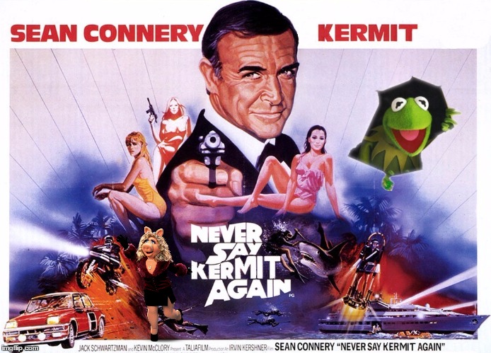 image tagged in kermit vs connery,sean connery  kermit,sean connery vs kermit | made w/ Imgflip meme maker