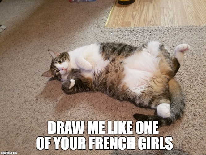 DRAW ME LIKE ONE OF YOUR FRENCH GIRLS | made w/ Imgflip meme maker