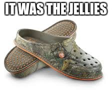IT WAS THE JELLIES | image tagged in camo crocs | made w/ Imgflip meme maker