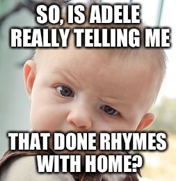 I expect more of you, Adele | SO, IS ADELE REALLY TELLING ME; THAT DONE RHYMES WITH HOME? | image tagged in memes,skeptical baby | made w/ Imgflip meme maker