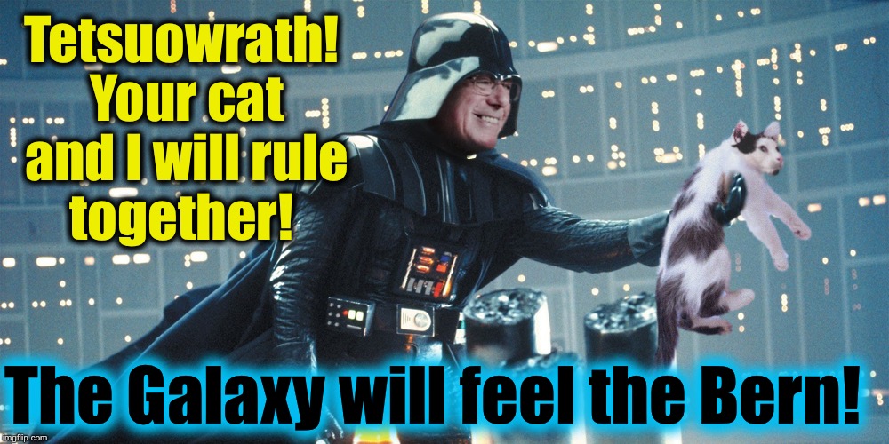 Tetsuowrath! Your cat and I will rule together! The Galaxy will feel the Bern! | made w/ Imgflip meme maker