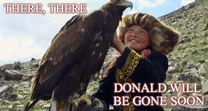 donald will be gone soon mr. eagle | THERE, THERE; DONALD WILL BE GONE SOON | image tagged in eagle,patriotic eagle | made w/ Imgflip meme maker
