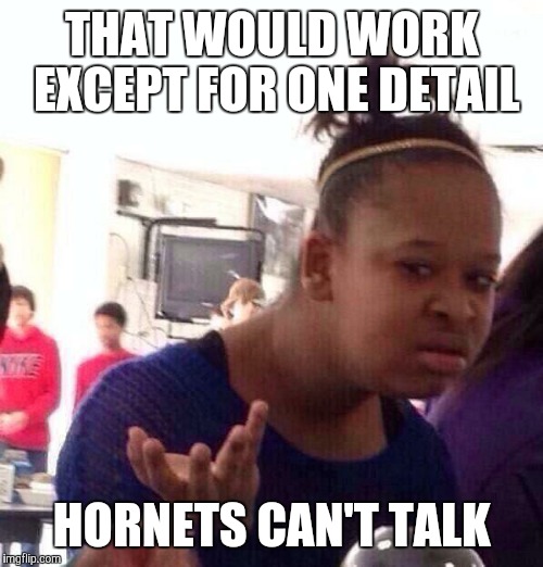 Black Girl Wat Meme | THAT WOULD WORK EXCEPT FOR ONE DETAIL HORNETS CAN'T TALK | image tagged in memes,black girl wat | made w/ Imgflip meme maker