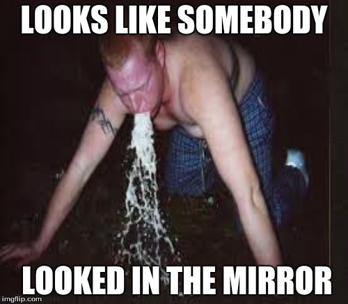 mirror mirror on the wall | LOOKS LIKE SOMEBODY; LOOKED IN THE MIRROR | image tagged in puke face | made w/ Imgflip meme maker