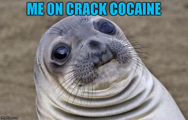 Awkward Moment Sealion | ME ON CRACK COCAINE | image tagged in memes,awkward moment sealion | made w/ Imgflip meme maker
