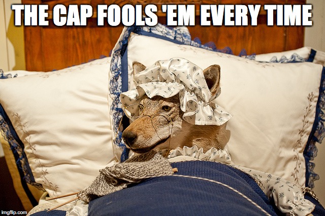 THE CAP FOOLS 'EM EVERY TIME | made w/ Imgflip meme maker