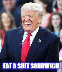 eat shit | EAT A SHIT SANDWICH | image tagged in trump,eat shit,sandwich | made w/ Imgflip meme maker