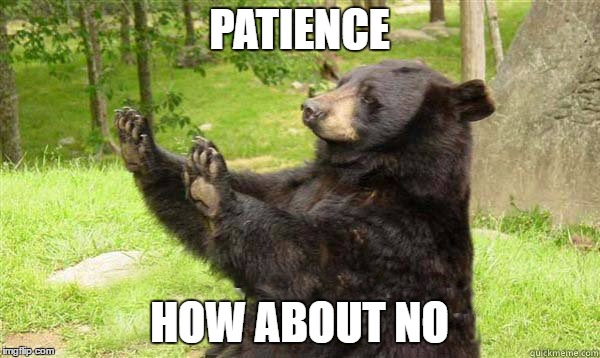 How about no bear | PATIENCE; HOW ABOUT NO | image tagged in how about no bear | made w/ Imgflip meme maker