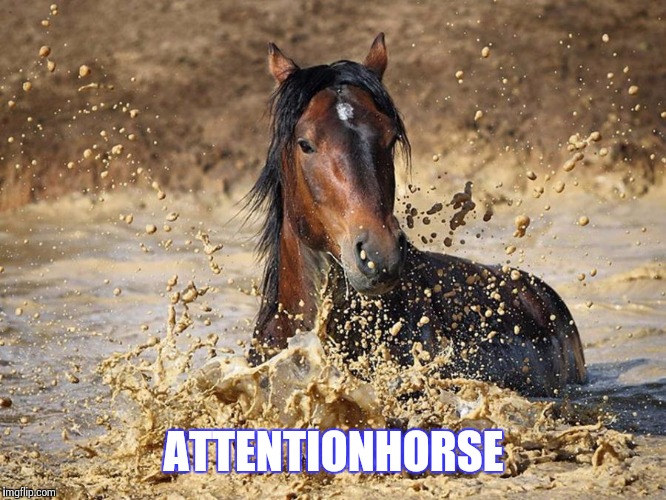 Horse in mud | ATTENTIONHORSE | image tagged in horse in mud | made w/ Imgflip meme maker