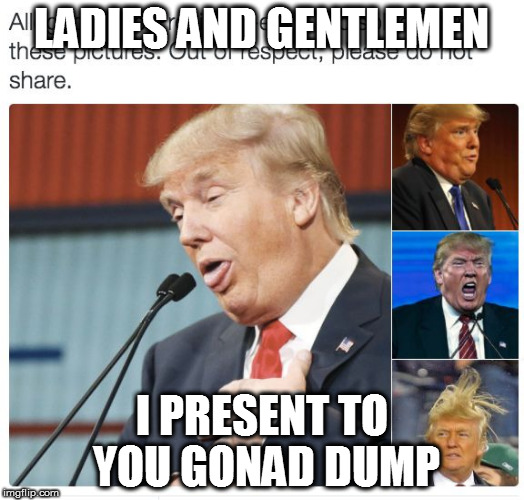 LADIES AND GENTLEMEN; I PRESENT TO YOU GONAD DUMP | image tagged in ladies and gentlen | made w/ Imgflip meme maker