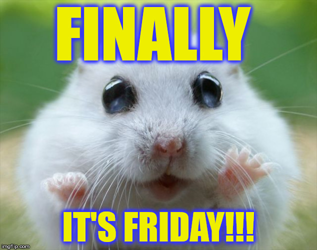 After this hard week | FINALLY; IT'S FRIDAY!!! | image tagged in memes,funny memes,cute,animals,friday | made w/ Imgflip meme maker
