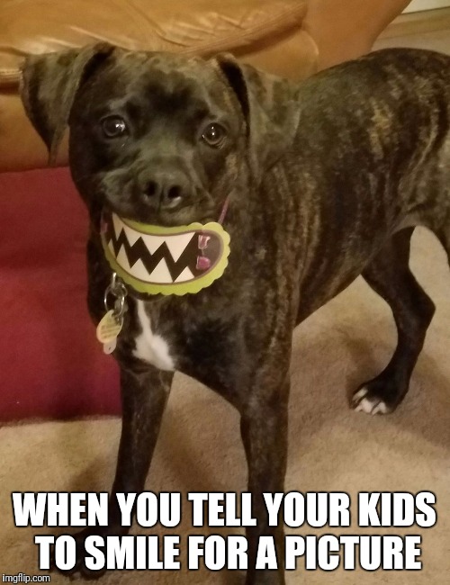 Smile | WHEN YOU TELL YOUR KIDS TO SMILE FOR A PICTURE | image tagged in happy dog,funny dog memes | made w/ Imgflip meme maker