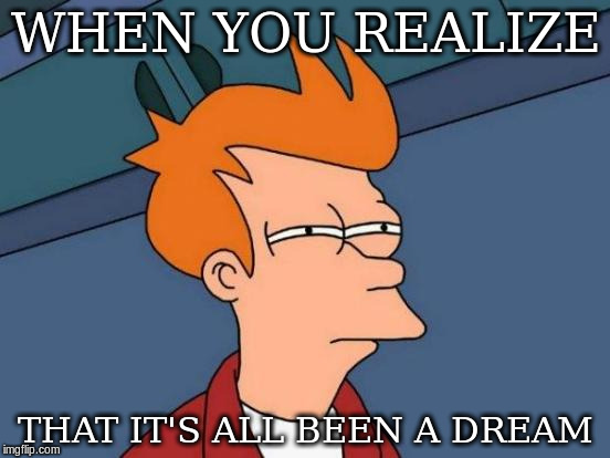 Futurama Fry Meme | WHEN YOU REALIZE; THAT IT'S ALL BEEN A DREAM | image tagged in memes,futurama fry | made w/ Imgflip meme maker