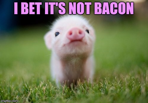 I BET IT'S NOT BACON | made w/ Imgflip meme maker