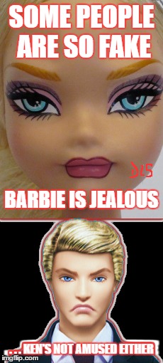 FAKE BITCHES | SOME PEOPLE ARE SO FAKE; BARBIE IS JEALOUS; . . . KEN'S NOT AMUSED EITHER | image tagged in funny | made w/ Imgflip meme maker