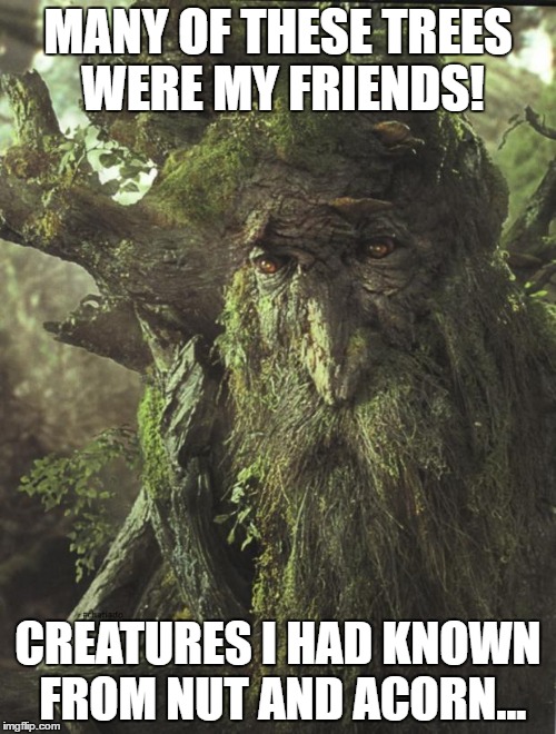 Tree Beard | MANY OF THESE TREES WERE MY FRIENDS! CREATURES I HAD KNOWN FROM NUT AND ACORN... | image tagged in tree beard | made w/ Imgflip meme maker