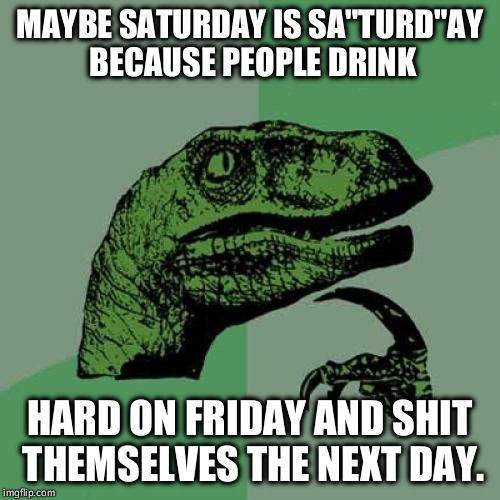 Philosoraptor Meme | MAYBE SATURDAY IS SA"TURD"AY BECAUSE PEOPLE DRINK; HARD ON FRIDAY AND SHIT THEMSELVES THE NEXT DAY. | image tagged in memes,philosoraptor | made w/ Imgflip meme maker